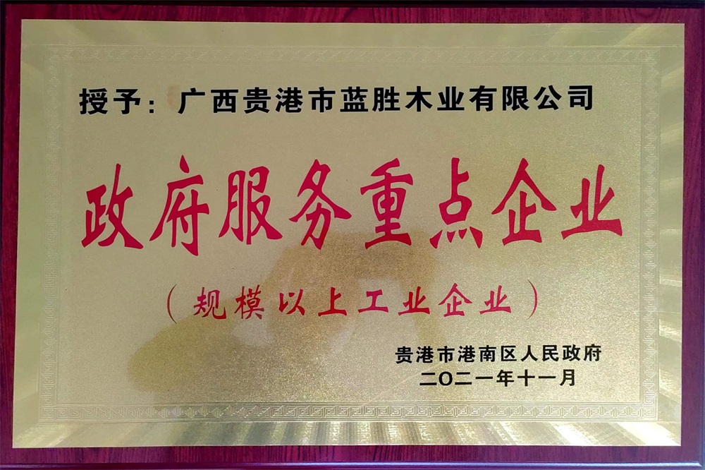 2021政府服務(wù)重點企業(yè)