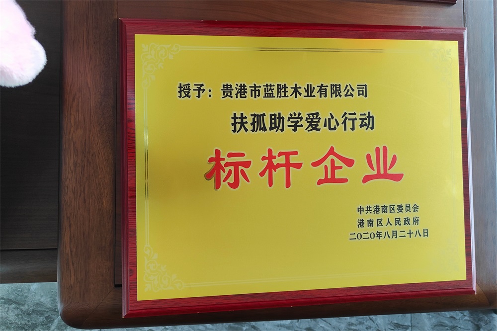 2020扶孤助學標桿企業(yè)