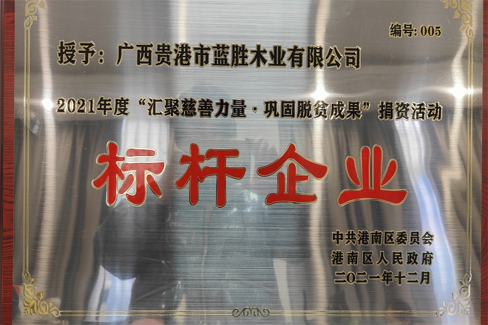 2021鞏固脫貧成果標桿